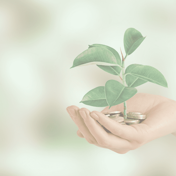 donate securities donate mutual funds